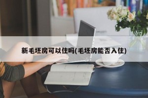 新毛坯房可以住吗(毛坯房能否入住)