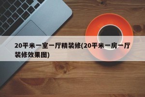 20平米一室一厅精装修(20平米一房一厅装修效果图)
