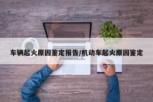 车辆起火原因鉴定报告/机动车起火原因鉴定