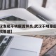 【武汉发现不明原因肺炎,武汉不明原因肺炎第一次报道】